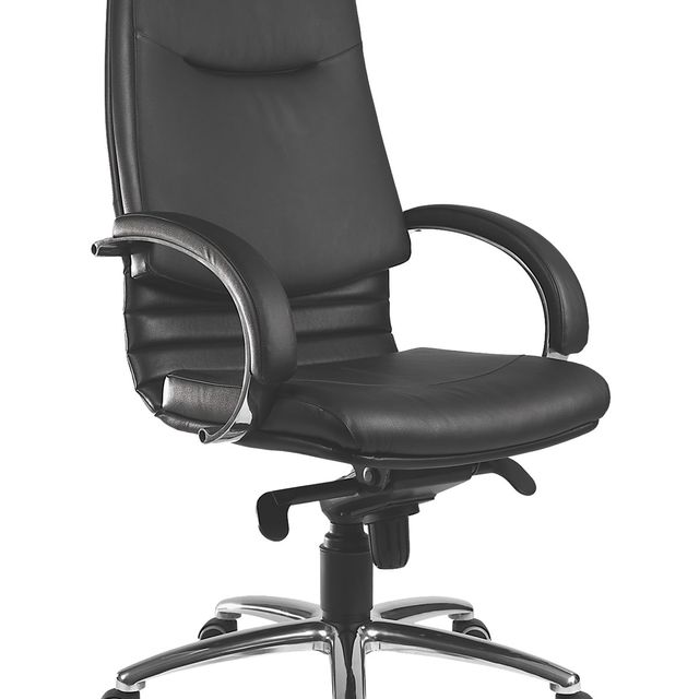 BIROJA KRĒSLS 6900 ORGA